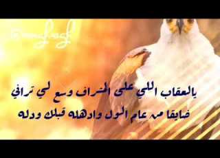 شيلة يا العقاب اللي