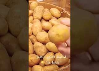 أسرار تخزين البطاطس طول السنة وأفضل وقت للتخزين