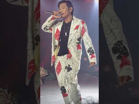 帅炸了 扭进我的心啦 无心伤害 杜德伟 Alex To 北京 美丽之星超级盛典 24 08 2024 AlexTo 杜德伟 杜德偉