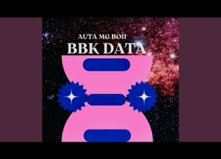  BBk Data