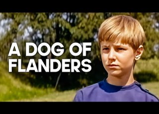  A Dog Of Flanders Emotional Family Film