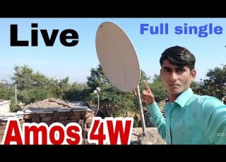  Amos 4W Live 2Feet Setting On