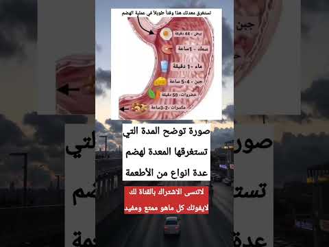 المدة التي تستغرقهـا المعدة في هـضم الطعام أكلات سريعة