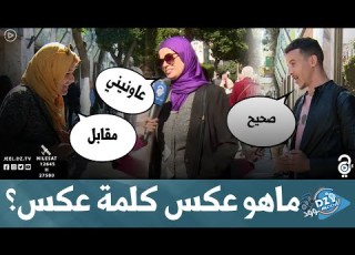  ماهو ع كلمة ع سؤال تلفهالهم كامل