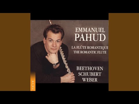 Sonata For Arpeggione And Piano In A Minor D 821 I Allegro