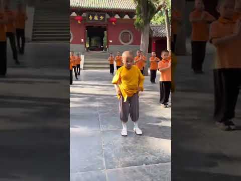 Kung Fu Monk Performing Shaolin Kung Fu