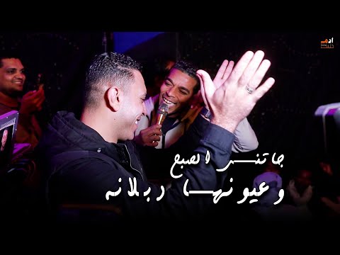 الرايق والسوبر ستار مصطفى الحلوانى جاتني الصبح وعيونها دبلانه الرايق والسوبر ستار مصطفى الحلوانى جاتني الصبح وعيونها دبلانه