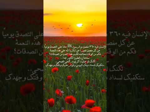 حالات واتساب اسلاميه بدون حقوق مع صوت عصافير وطبيعة