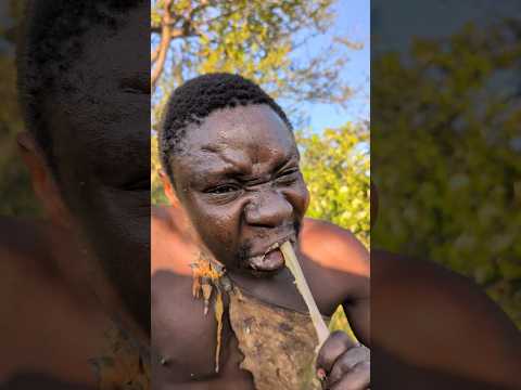 Wow Chaaba With His Favorite Dish Villagelife Africa Food Animals Wildlife