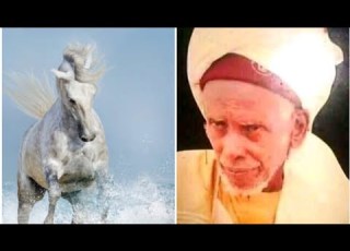 Fassarar Mafarkin Doki