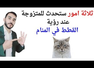 ثلاثة امور ستحدث للمتزوجة عند رؤية القطط في المنام L تفسير حلم رؤية القطط في المنام للمتزوجة