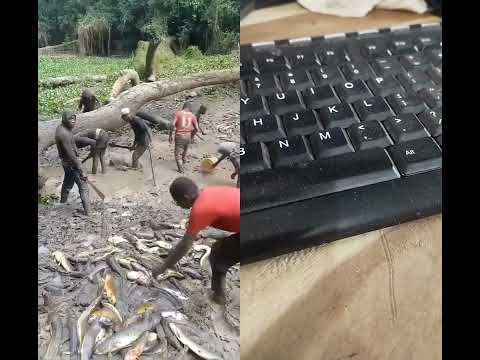 A Unique Way Of Fishing In The Congolese Jungle Fishing Thedrc Kafueriver Nyimba Kabango Kaya