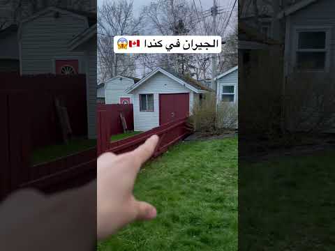 الجيران في كندا