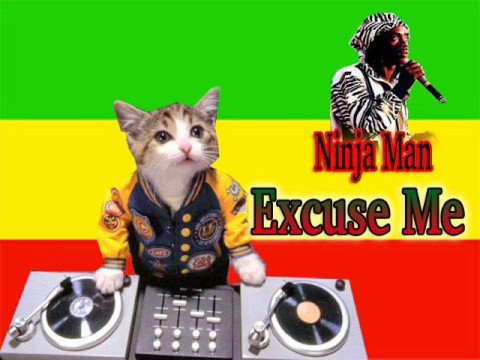 Ninja Man Excuse Me