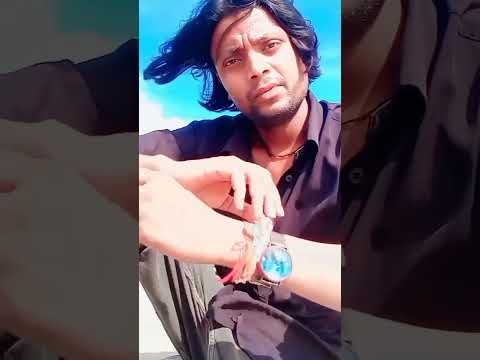 Chandal Movie Car Scene Mithun Chakraborty Short Video Seen Dialogue Video