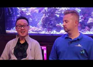  Reefs Com Review Of Klir Filter