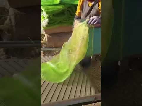 TUNAUZA HAY MAJANI KWAJILI YA MIFUGO KAMA NG OMBE WA MAZIWA MBUZI KONDOO NK