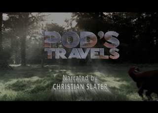  Dinosaur Planet Pods Travels
