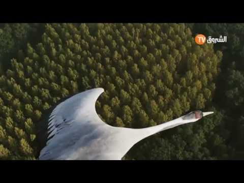 Echourouk TV Best Of Music