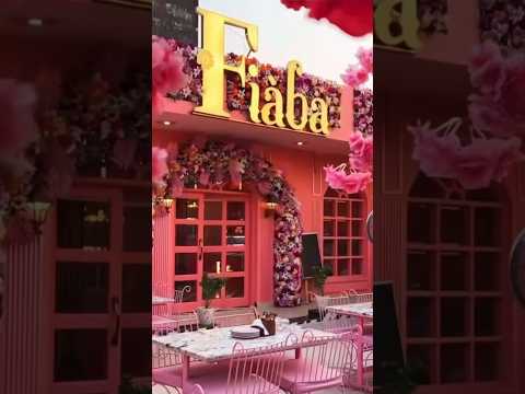 Fiaba Cafe Mini Vlog One Of The Most Instagrammable Cafe Under Budget Fiaba Noida Sector 116