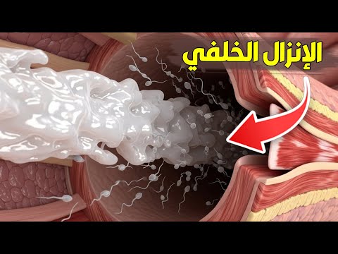 Where Does A Man S Semen Go When He Has Anal Sex With A Woman Medical Explanation