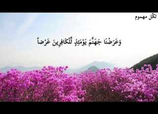  حالات واتس اب يوم الجمعة سورة الكهف للقارئ عبدالرحمن مسعد حفظه الله