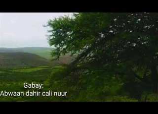 ABWAAN DAAHIR CALI NUUR
