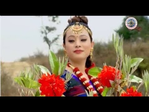 GURASAI FULYO New Nepali Song 2025 2081 Manu Nembang Kushal Thalang