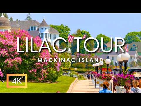 World Famous Island Of Lilacs Unbelievable Lilac Trees Relaxing Garden Tour Peaceful Music