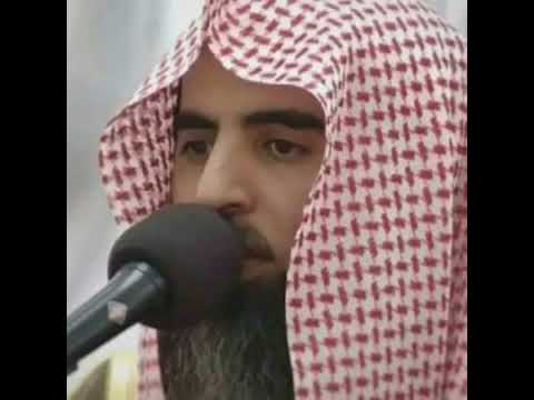 سورة البقره محمد اللحيدان