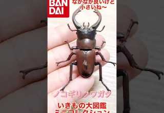 バンダイいきもの大図鑑ミニコレクション回してきました