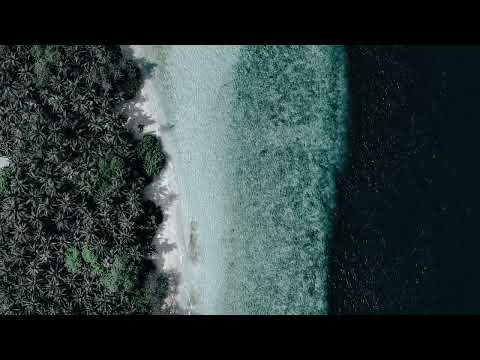 Sunday Young Rich Pixies