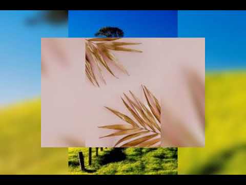 ذكرى الزواج بدون موسيقى انشودة افراح اسلامية اناشيد اسلاميه ذكرى الزواج بدون موسيقى انشودة افراح اسلامية اناشيد اسلاميه