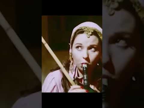 عبد الباسط حمودة الجو هادى خالص نورالشريف نورا فيلم العار عبد الباسط حمودة الجو هادى خالص نورالشريف نورا فيلم العار