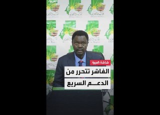  حاكم إقليم دارفور اقتراب انتهاء حصار مدينة الفاشر والقضاء على الدعم السريع