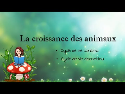 La Croissance Des Animaux