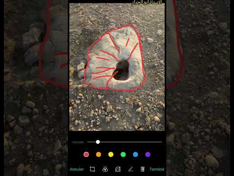 One Of The Most Beautiful Lessons With Professor Abu Jarar