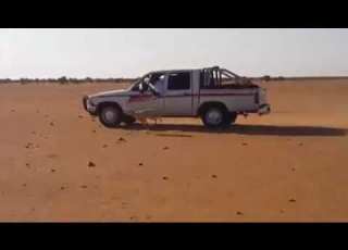  اسرع كلب سلوقي فى السودان