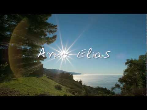 Arno Elias L Éternité