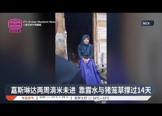  嘉斯琳达两周滴米未进 靠露水与猪笼草撑过14天 2026 06 07 八度空间午间新闻