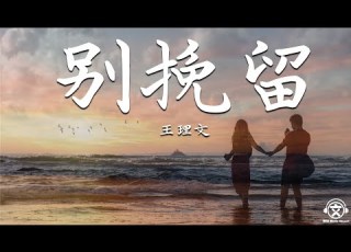  王理文 Livia 别挽留 動態歌詞 我們都別挽留 就算委屈淚流 也放手