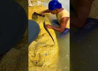 The Process Of Finding Gold Finding Gold In Bedrock Fragments Finding An Amazing Gold Nugget