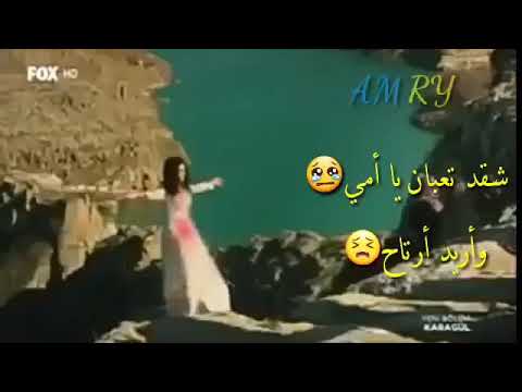 حالات واتساب 2019 شقد تعبان يا امي