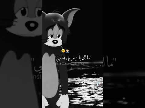 مالك زهري اناني