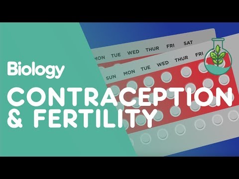 Hormones Involved In Birth Control Fertility Treatment Biology FuseSchool Hormones Involved In Birth Control Fertility Treatment Biology FuseSchool