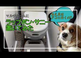  JolyBeeのマルチルームに ラップポン 設置する