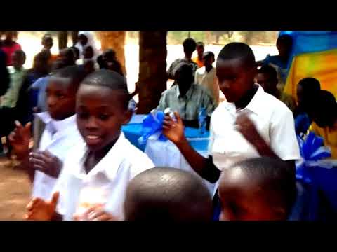 Shule Ya Msingi Itobo