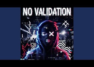  No Validation