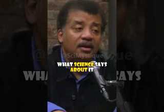 Science Vs Afterlife What Really Happens When We Die