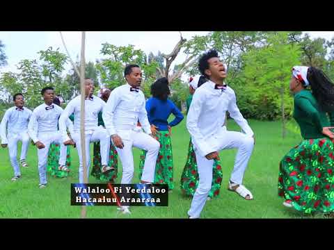 Hacaaluu Araarsaa Jarumaafi Oromo Music 2018 New
